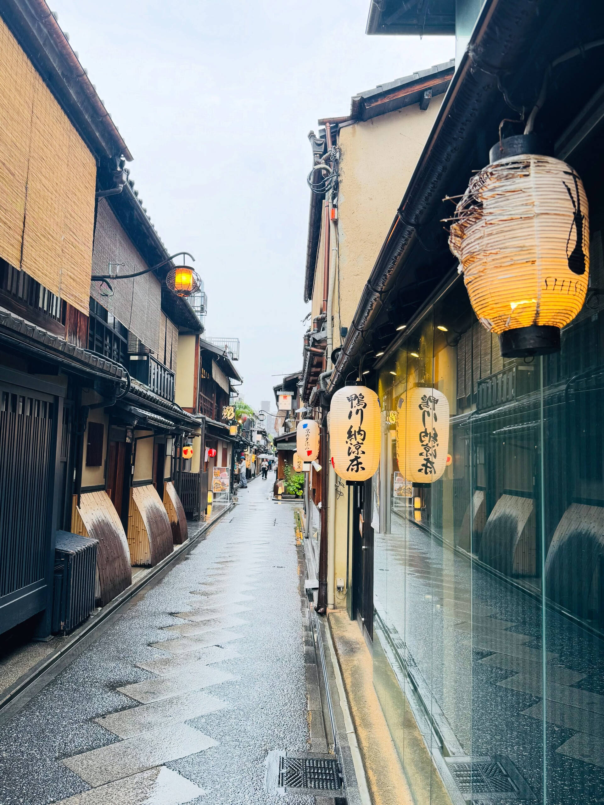 雨の先斗町です
