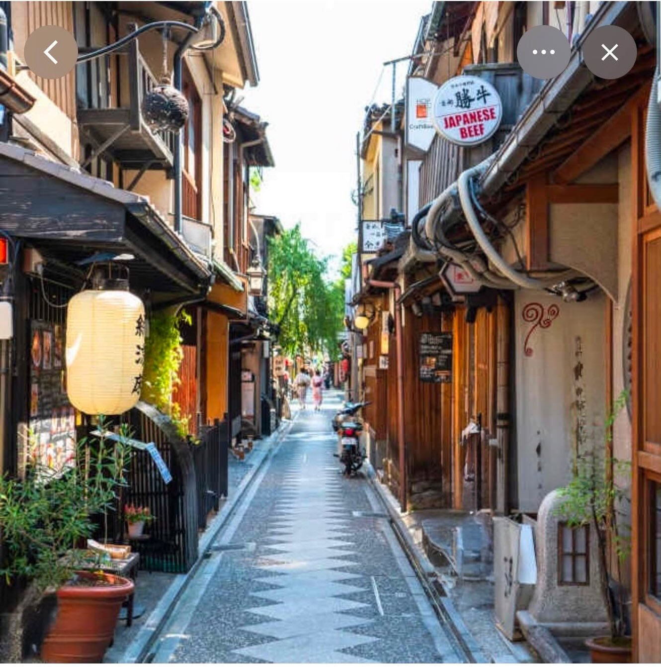 京都らしい町家が並ぶ、風情あふれる先斗町