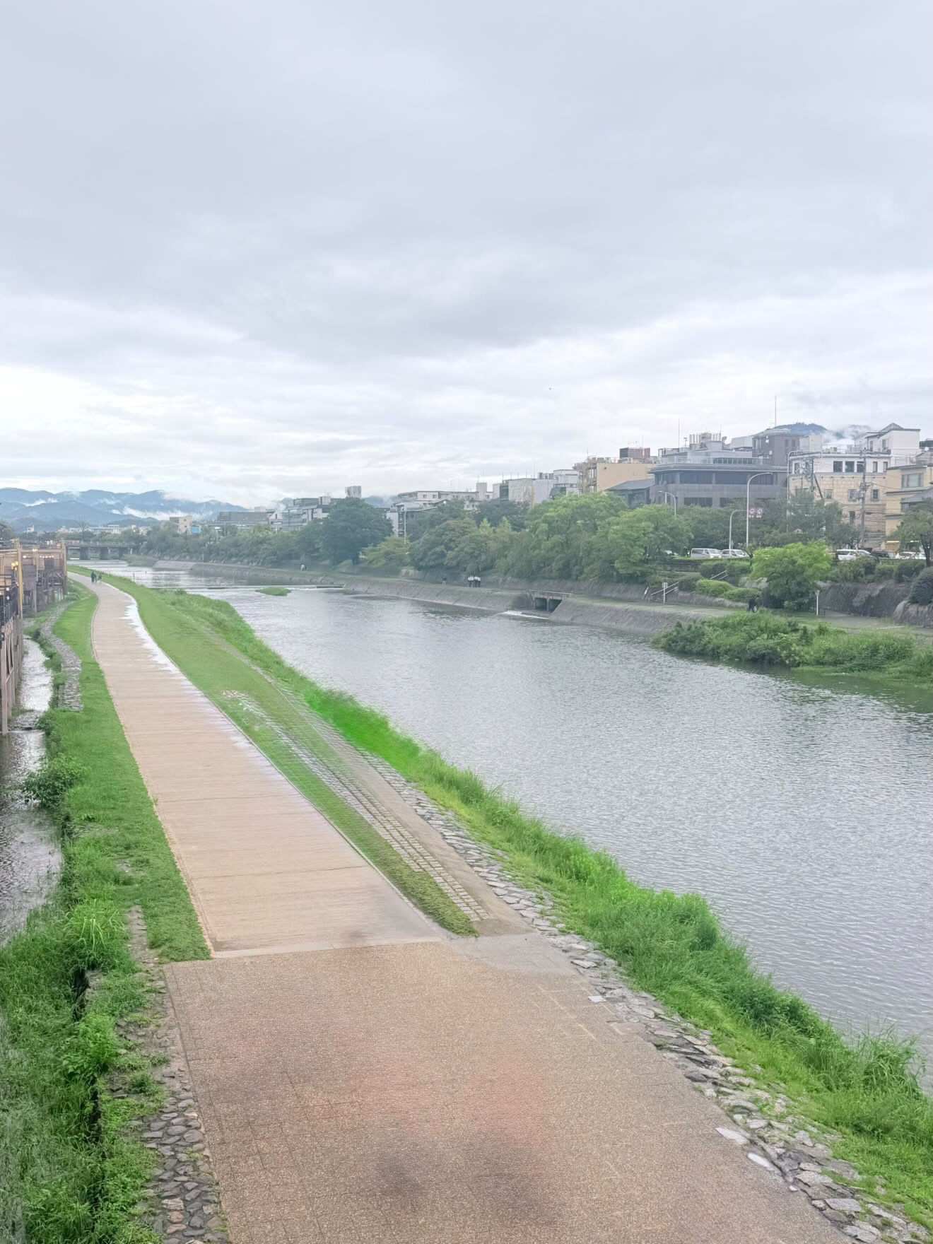 ☔️ 雨の日の京都、静かに流れる鴨川